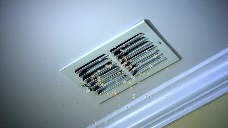 Best HVAC System Cleaning  in Bothell, WA