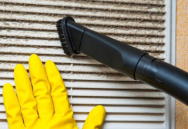 Best Air Duct Sanitizing Services  in Bothell, WA
